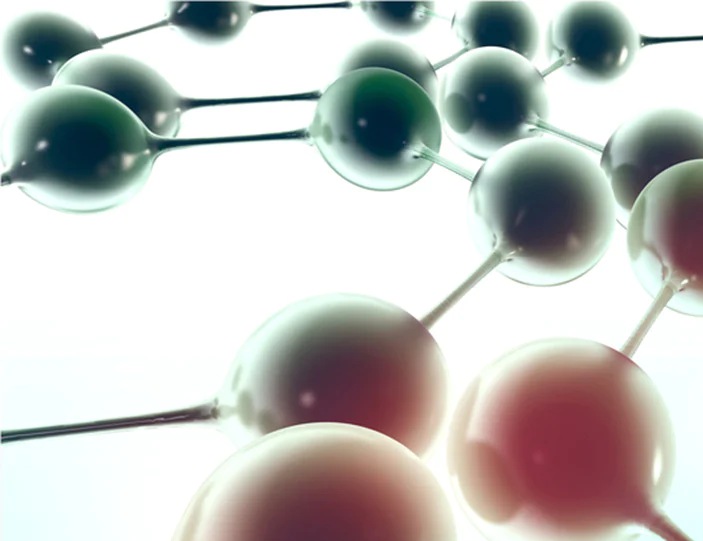 Amino Acids
